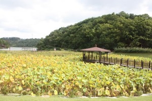 사계의 테마를 담은, 울산 선암호수공원,국내여행,음식정보