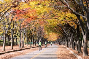 인천의 너른 쉼터, 인천대공원,인천광역시 남동구