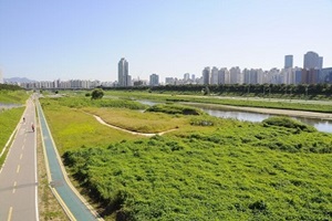 서울생태계 보고서, 양천구 안양천의 모든 것,서울특별시 양천구