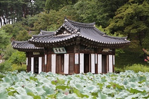 정갈한 옛 삶이 남아있는 곳, 강릉 선교장,국내여행,음식정보