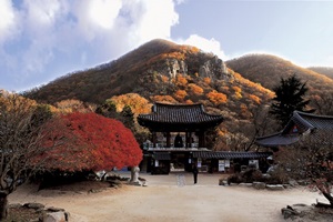 고즈넉하고 소담한 분위기의 장안사,부산광역시 기장군