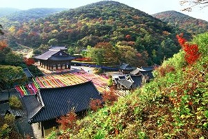 불교가 융성했던 의성을 돌아보다,국내여행,음식정보