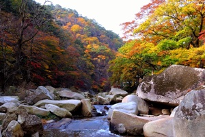 이야기가 가득한 해인사와 가야산으로 떠나는 가을 여행,경상남도 합천군