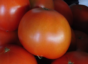 토마토,지역특산물,국내여행