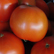 토마토,지역특산물,국내여행