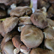표고버섯 (하우스 재배),지역특산물,국내여행