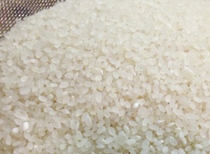 풍기 쌀,지역특산물,국내여행