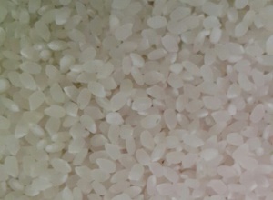 칠곡쌀,지역특산물,국내여행