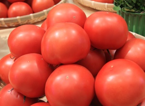 지산 토마토,지역특산물,국내여행