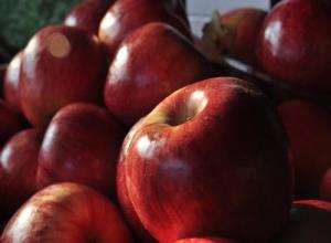아산 사과,지역특산물,국내여행