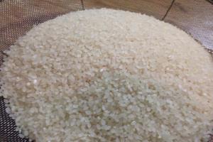 서산 쌀,충청남도 서산시,지역특산물