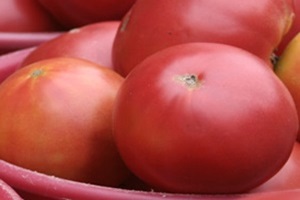 토마토,국내여행,음식정보