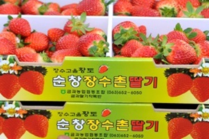 딸기,전라북도 순창군,지역특산물