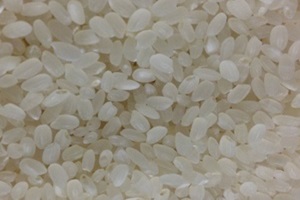 청량쌀,경상북도 봉화군,지역특산물