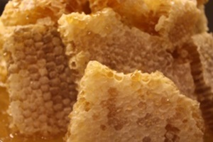 꿀,충청북도 청주시,지역특산물