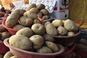 감자,충청북도 증평군,지역특산물