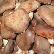 금오산 표고버섯(하우스재배),지역특산물,국내여행