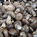군위 표고버섯(하우스재배),지역특산물,국내여행