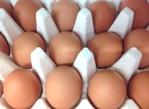 봉황농장 계란,지역특산물,국내여행