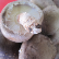표고버섯(하우스재배),지역특산물,국내여행