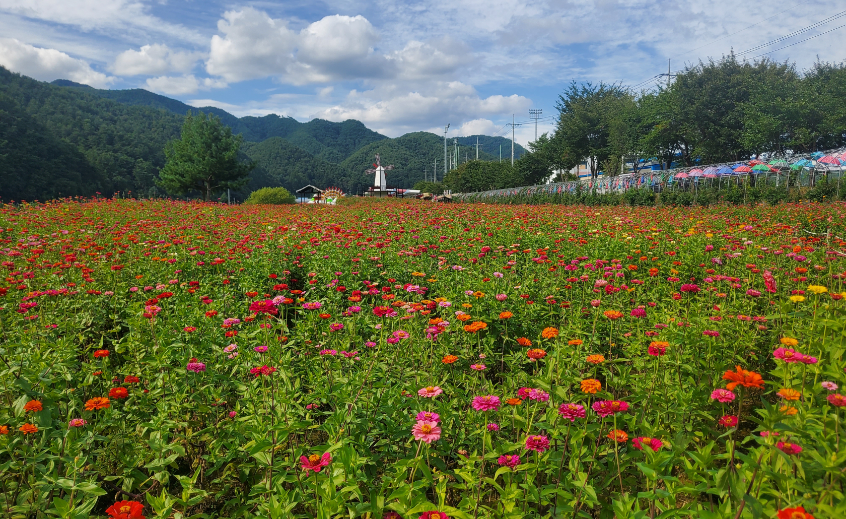 배경 이미지