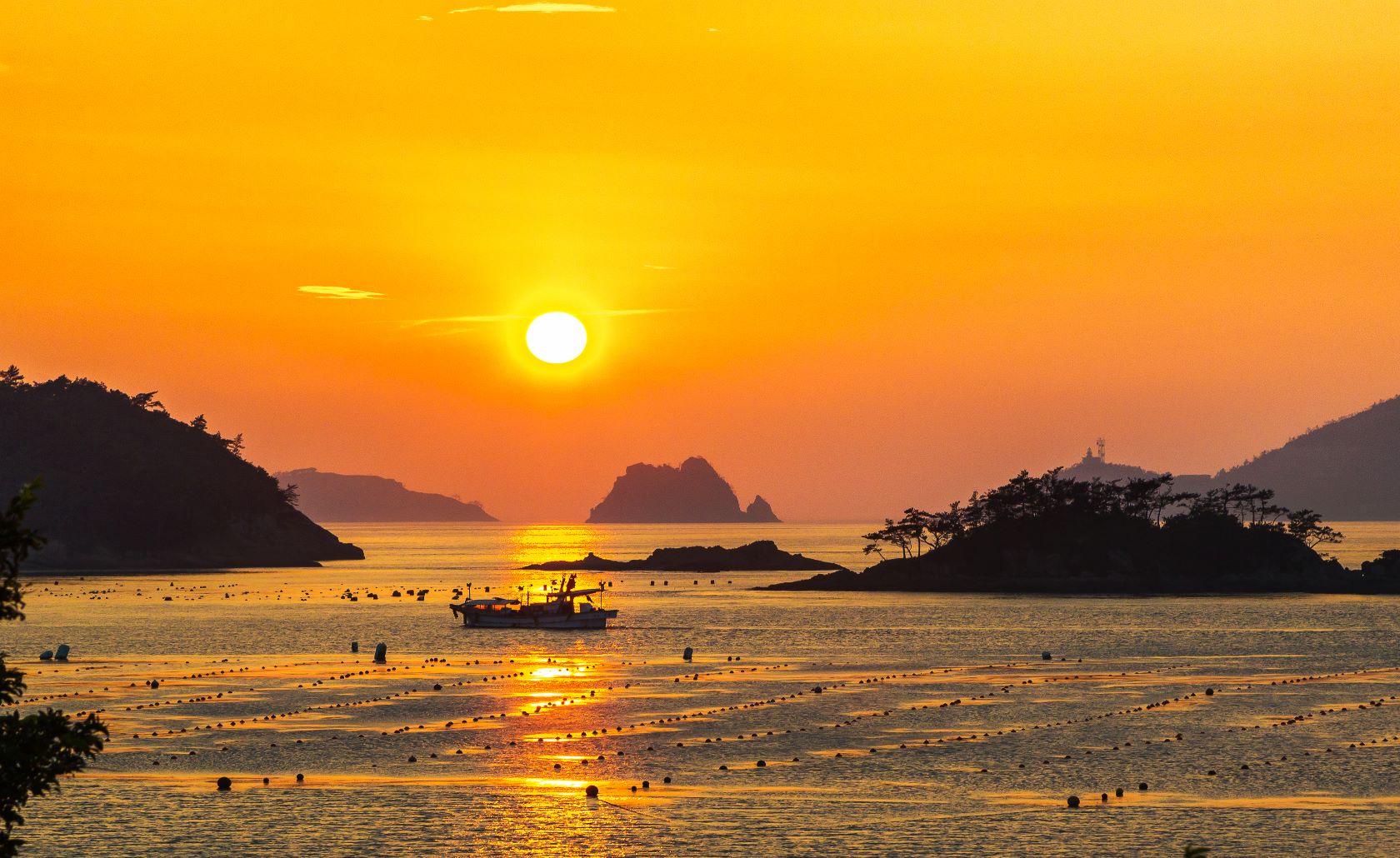 배경 이미지