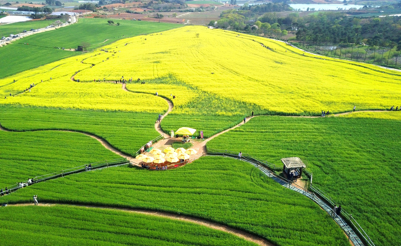 배경 이미지