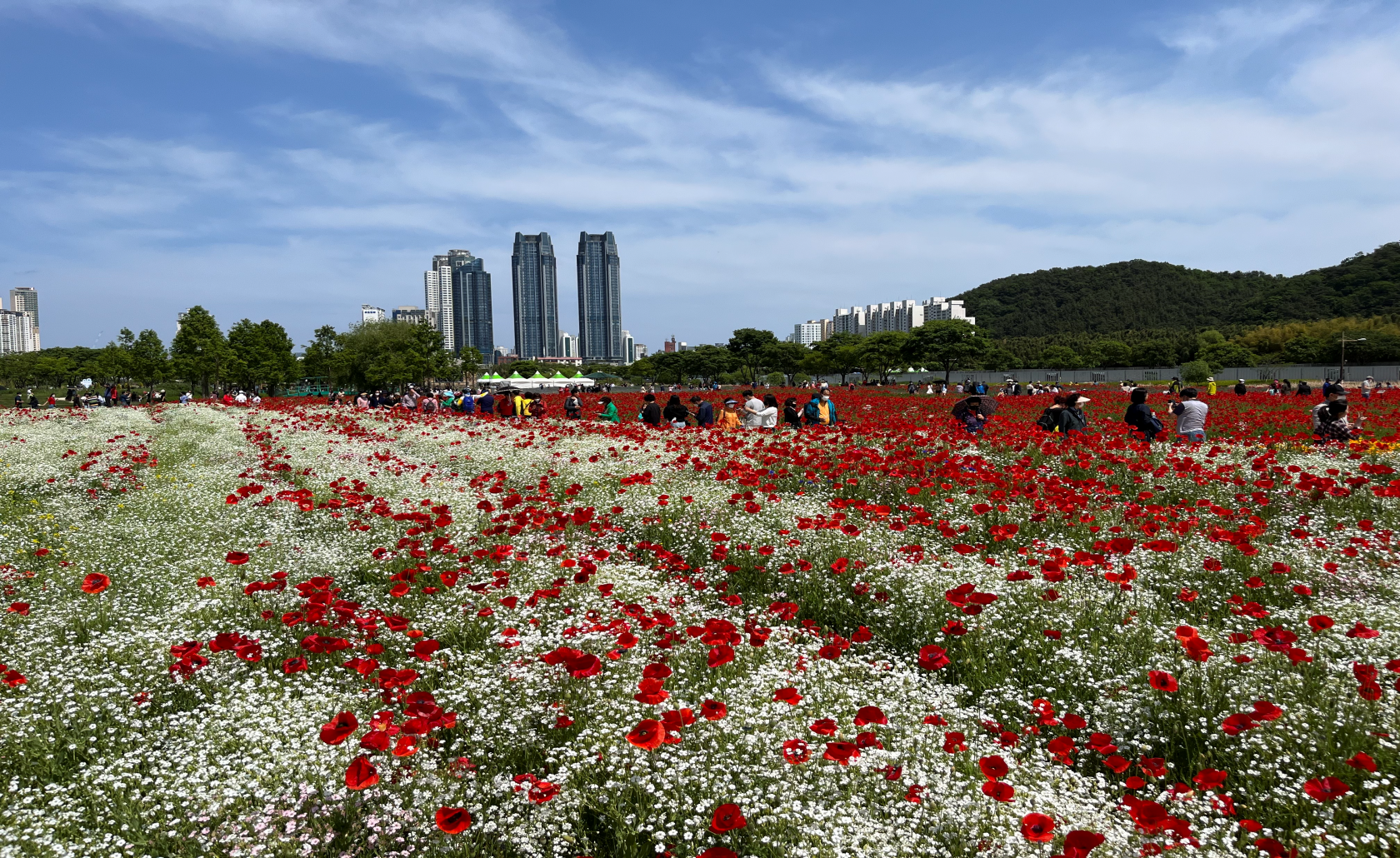 배경 이미지