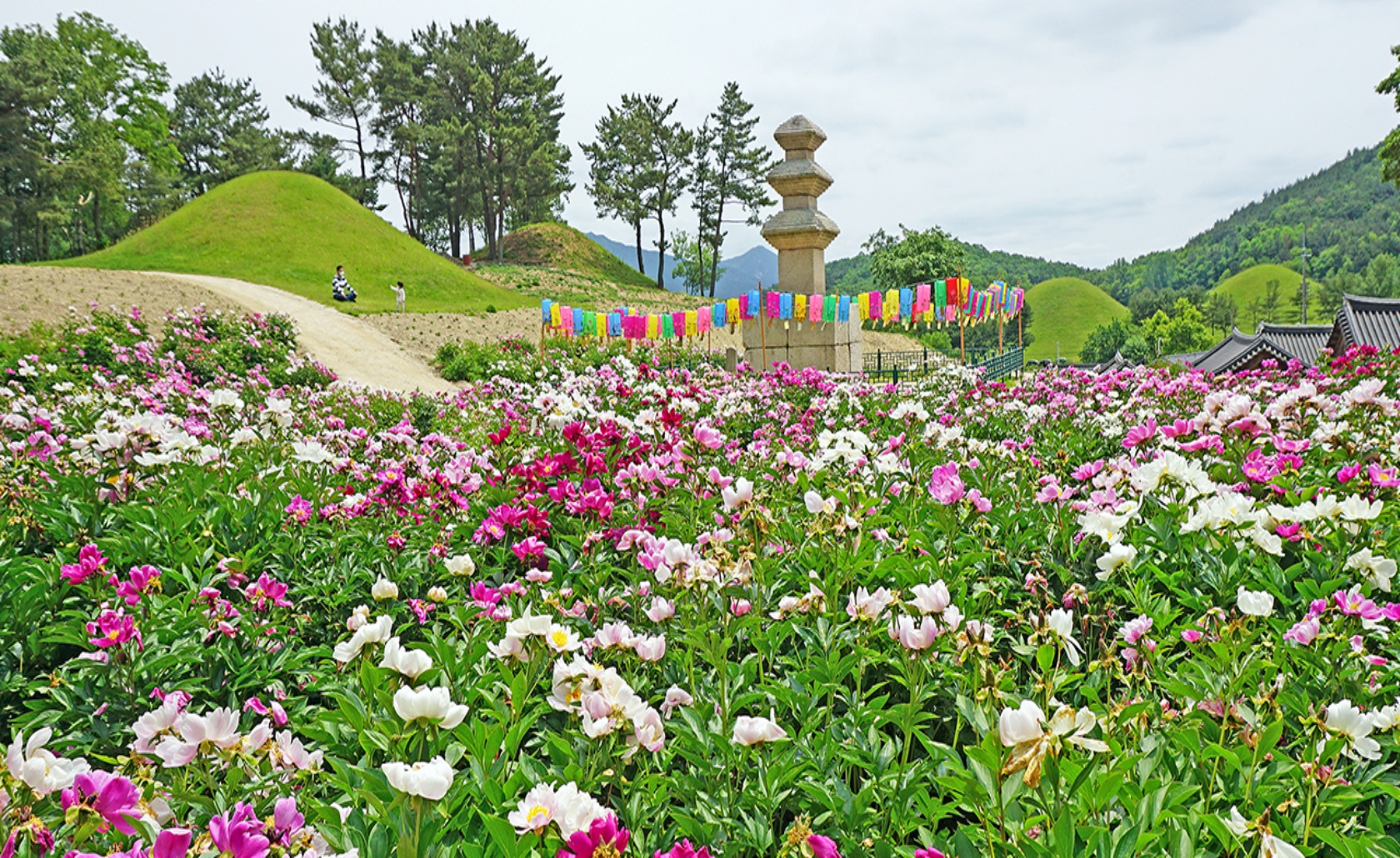 배경 이미지