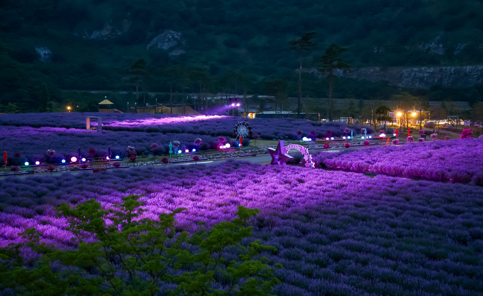 배경 이미지