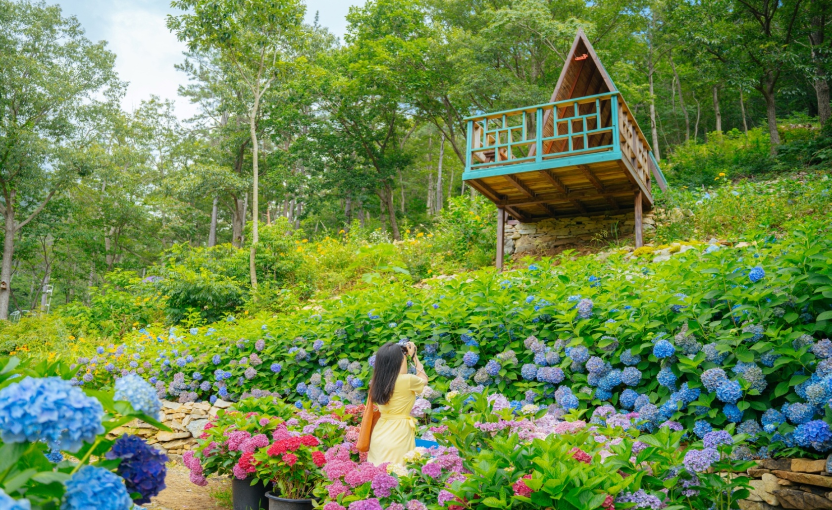 배경 이미지