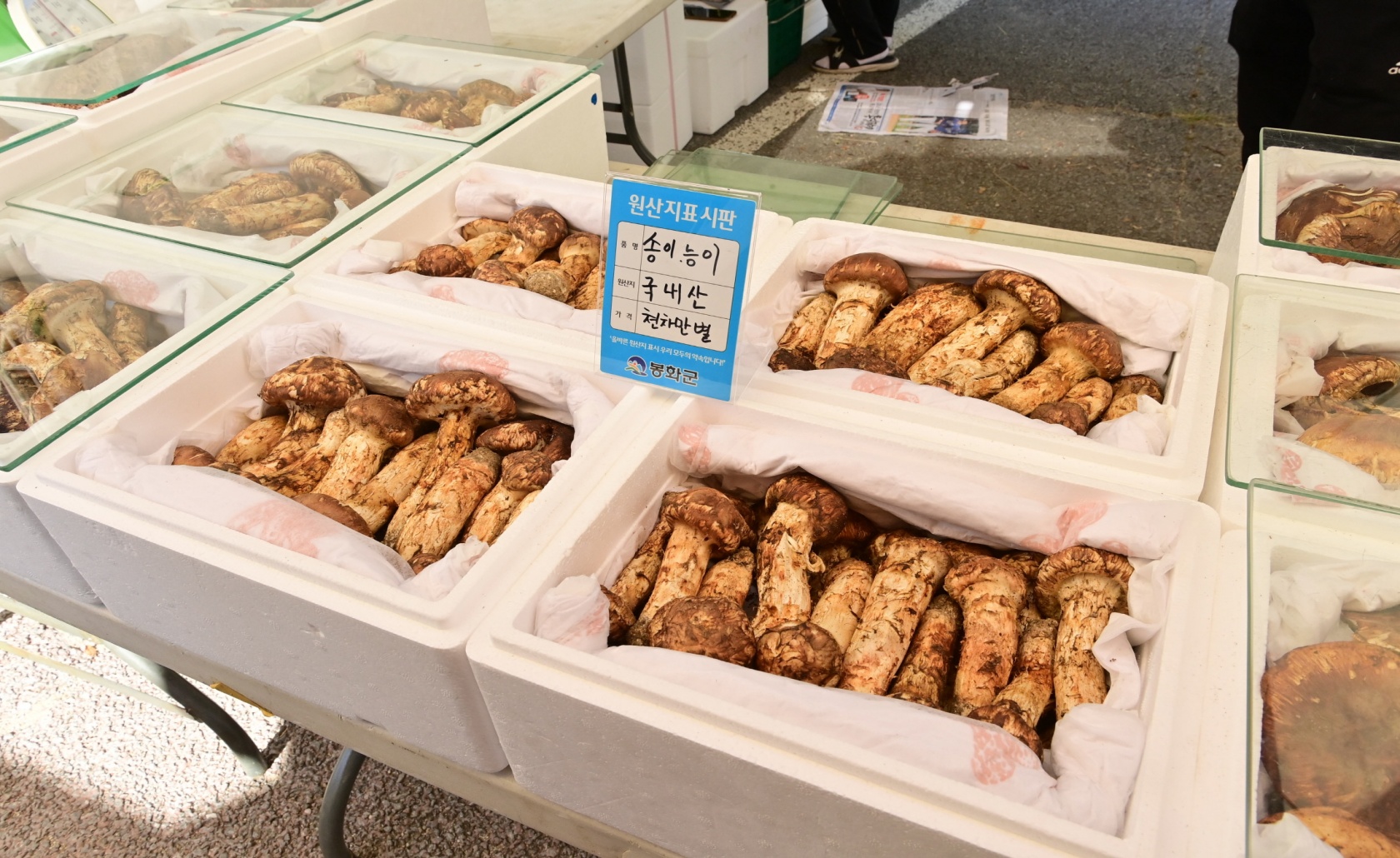 배경 이미지