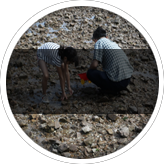 Playi Image