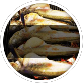 Playi Image