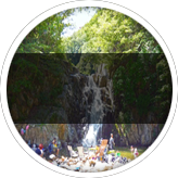Playi Image