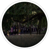 Playi Image