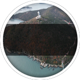 Playi Image
