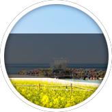 Playi Image