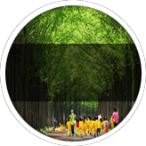 Thinki Image