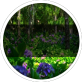 Thinki Image