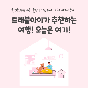 토마토축제