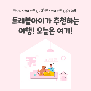 보령