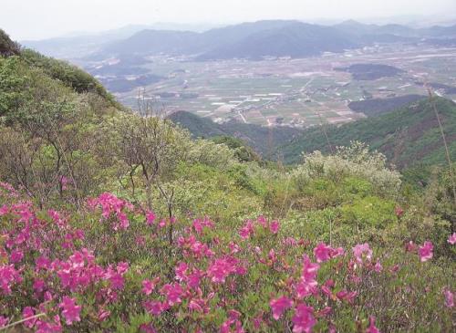 땅끝마을에 찾아오는 봄, 흑석산 철쭉