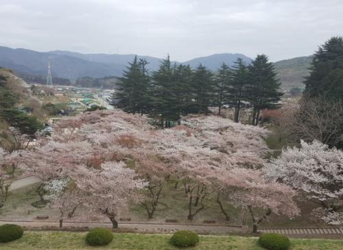 힐링이 필요할 때 떠나보세요! 법기수원지