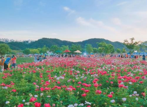 울산에 찾아온 봄, 태화강 봄꽃 대향연