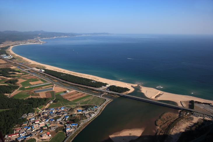 고래불해수욕장에는 8km에 달하는 백사장과 빽빽한 소나무 숲, 청녹색을 띄는 맑은 바다가 있다.