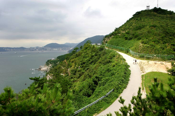 감지해변 산책로를 중리해녀촌부터 태종대까지 이어지는 해안산책길이다.