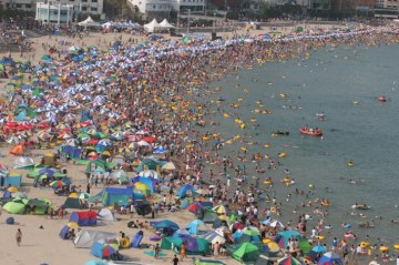 우리나라 최초의 해수욕장인 송도해수욕장에서는 매년 10월경 부산고등어축제를 개최한다.