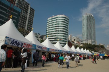 축제 기간 동안에는 직판장이 마련되어 저렴한 값에 신선한 고등어를 구매할 수 있다.