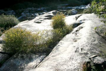 순서대로